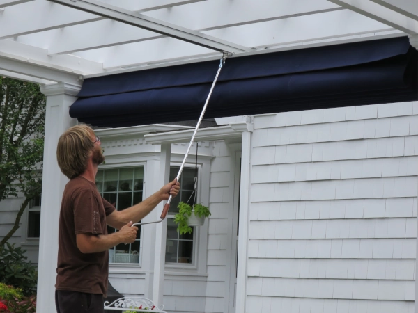 Freestanding pergola with training